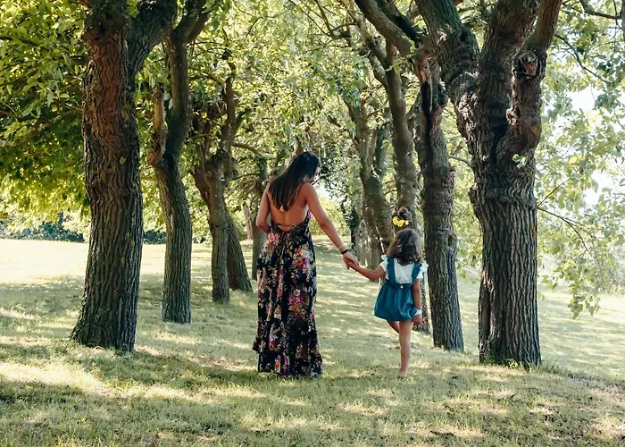 Hotel Collina Dei Poeti