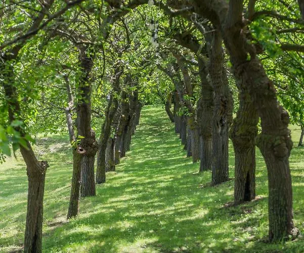 Collina Dei Poeti 3*