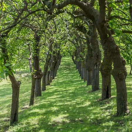 Collina Dei Poeti 3*